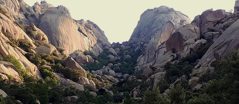 EL YELMO POR EL HUECO DE LAS HOCES